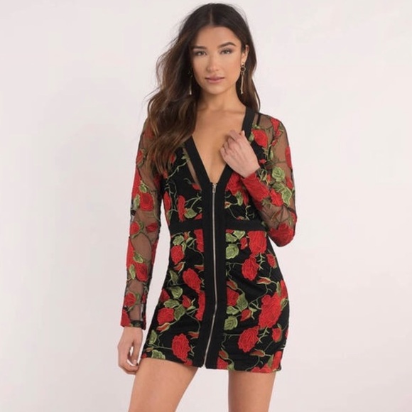 rose embroidered bodycon dress Fiesta Rose Embroidered Dress small main image 0